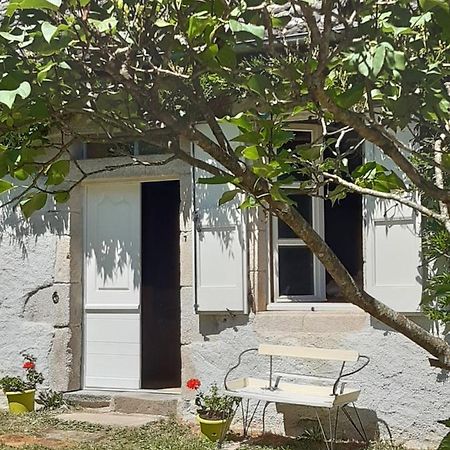 TourniacChez Mialaret住宿加早餐旅馆 外观 照片